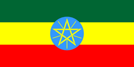 Organic Ethiopia Washed Sidamo - Dark Roast